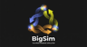 BigSim logo